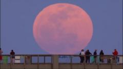 see-images-of-the-pink-moon-spotted-across-the-us