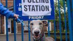 local-elections-2024:-dogs-at-polling-stations