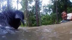 bodycam-shows-jet-ski-rescue-of-man-and-dogs-in-flood